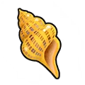 Pretty Seashell